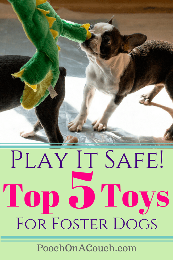 top safe toys for foster dogs