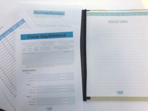 Read more about the article Foolproof Filing System for Foster Dogs