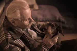 help an aging person adopt a pet