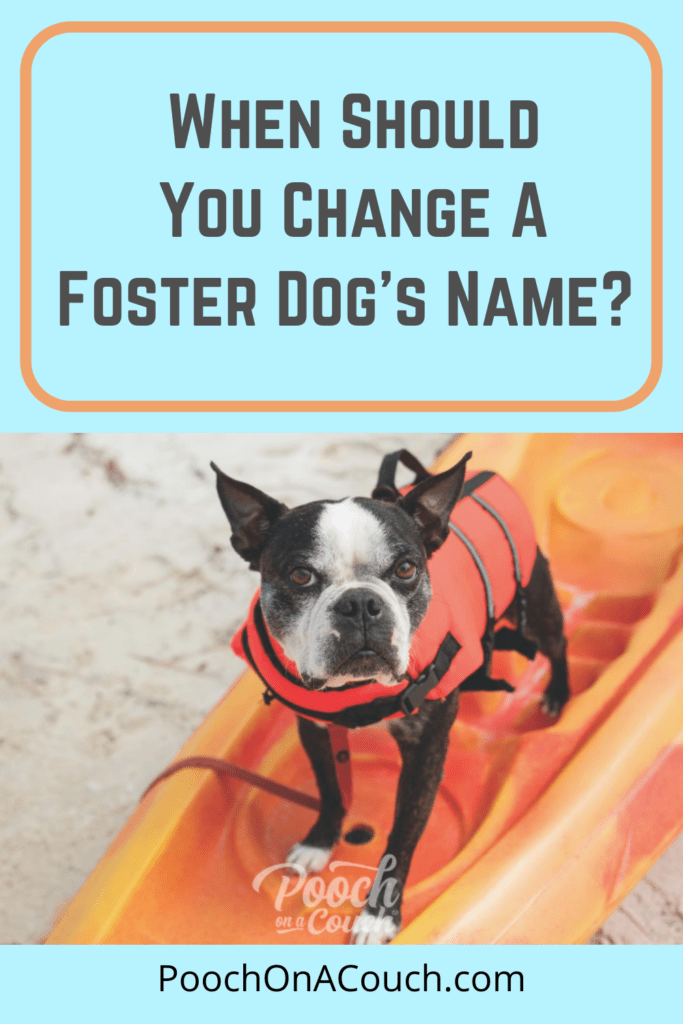 how easy is it to change a dogs name