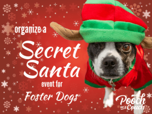 secret santa event for foster dogs