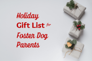 Read more about the article Holiday Gift List For Foster Dog Parents