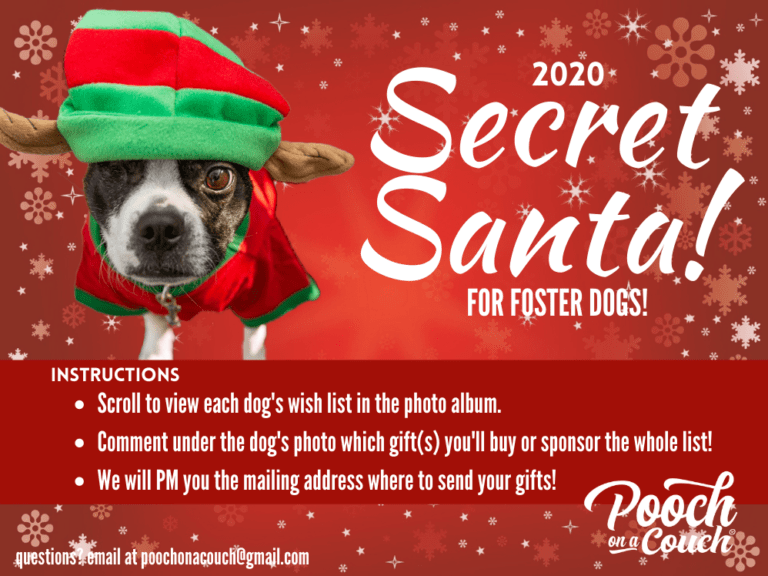 Secret santa 2025 for dog lovers