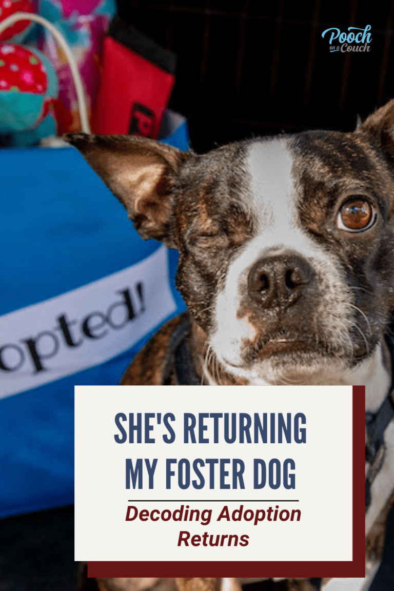 She's Returning My Foster Dog - Decoding Adoption Returns » Pooch On A